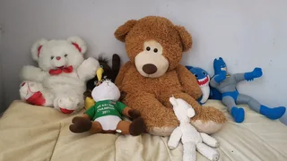 Teddy bears