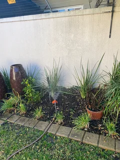 Looking for part-time job