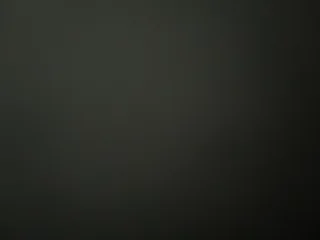 Responsible Tenant Looking for Bachelor/Cottage