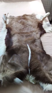 Genuine leather skins for jackets, handbags, etc.