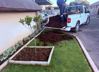 Compost And Lawn Dressing