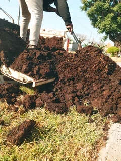 Compost And Lawn Dressing