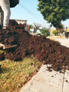 Lawn Dressing Available