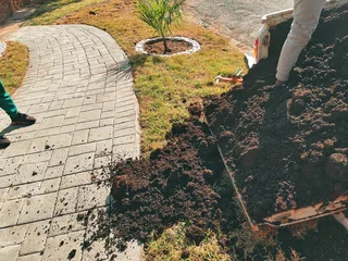 Lawn Dressing Available