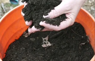 Compost and Lawn Dressing we deliver