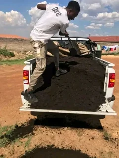 Lawn Dressing Make Your Grass Green Always