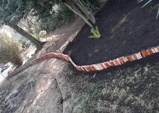 Lawn Dressing Make Your Grass Green Always