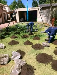 Lawn Dressing Make Your Grass Green Always