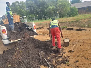 Lawn Dressing Make Your Grass Green Always