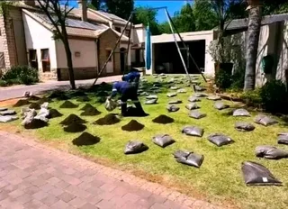 Lawn Dressing Make Your Grass Green Always