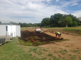 Lawn Dressing Make Your Grass Green Always