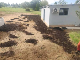 Lawn Dressing Make Your Grass Green Always