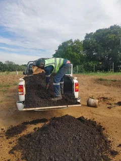 Lawn Dressing Make Your Grass Green Always