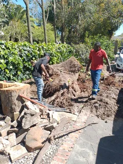 Leonard Tree Fellers Stump Removal and Garderning