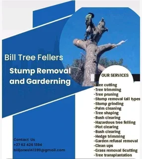 Bill Tree Fellers Stump Removal and Garderning