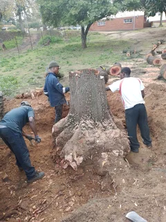 Keagan Tree Fellers Stump Removal and Garderning