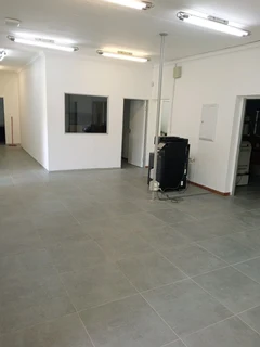 Master painter renovation