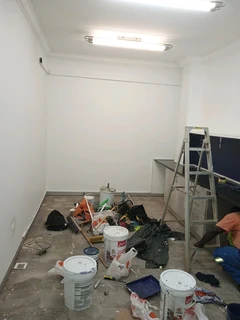 Master painter renovation