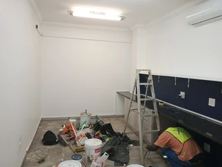 Master painter renovation