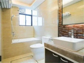 Plumber,tiler and Painter  PMB