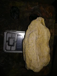 Raw butterscotch amber(Royal amber)