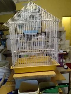 Birdcage - Ad Posted By Nico Myers