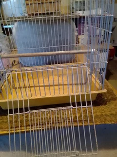 BIRDCAGE - Ad posted by NICO MYERS