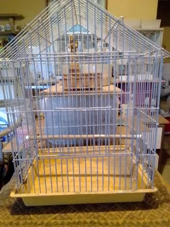 BIRDCAGE - Ad posted by NICO MYERS