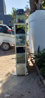 Fish Tanks