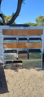 Fish Tanks