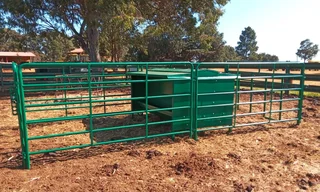 CATTLE CREEPFEED STATION