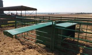 CATTLE CREEPFEED STATION