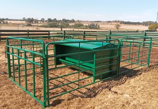 Cattle Creepfeed Station