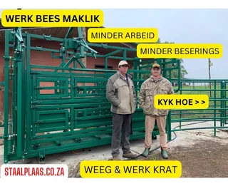 Cattle Weigh Crate With Neck And Body Clamp