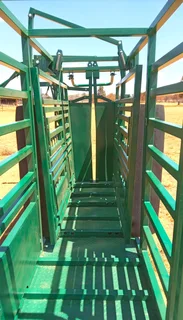 CATTLE SCALE WITH NECK AND BODY CLAMP