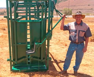 CATTLE SCALE WITH NECK AND BODY CLAMP
