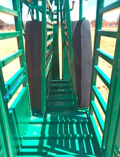 CATTLE SCALE WITH NECK AND BODY CLAMP