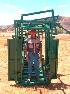 CATTLE SCALE WITH NECK AND BODY CLAMP