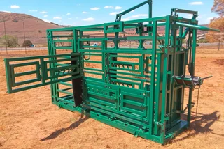 CATTLE SCALE WITH NECK AND BODY CLAMP