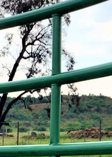 CATTLE FORCE PEN / BUD BOX/ CIRCULAR KRAAL