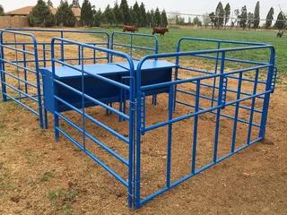 CALF CREEP FEED GATE / KALF KRUIPVOER HEKKE