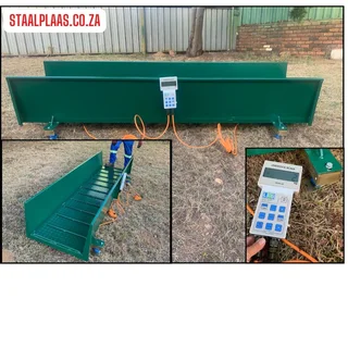 Cattle Platform Scale