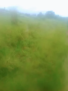 site - Ad posted by Nonyameko Myeni