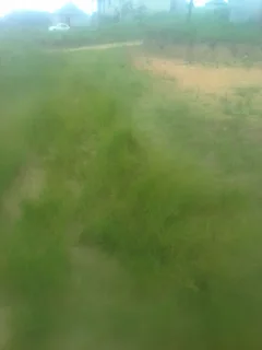 site - Ad posted by Nonyameko Myeni