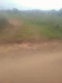 site - Ad posted by Nonyameko Myeni