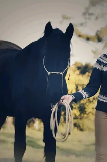 Beige Soft Touch Rope Halters