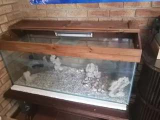 Fish tank for sale in kzn