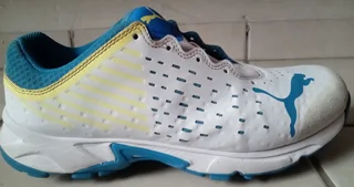 Puma Spike 22.1 White–Ultra Blue (Cricket shoes)