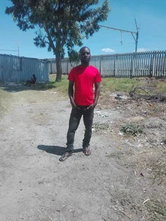 Looking for a job as gardening ,painting and land scape