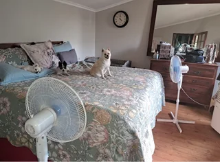 Cosy Log Cabin on a small holding